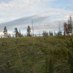 OTRA2013_1395 (July 15, 2013)